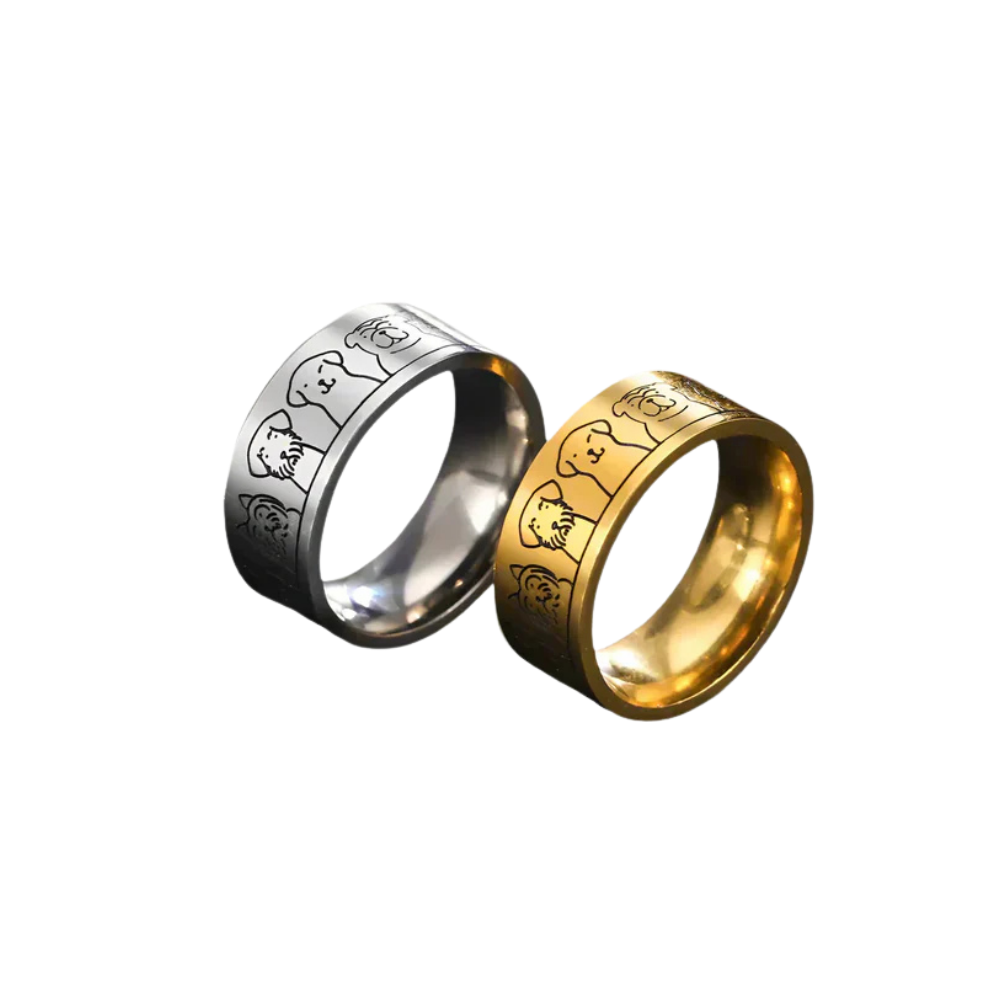 Bague en Or et Argent avec Pattes Gravées – Nika